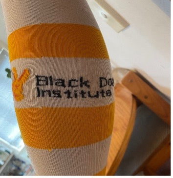 Black Dog Institute Footy Socks